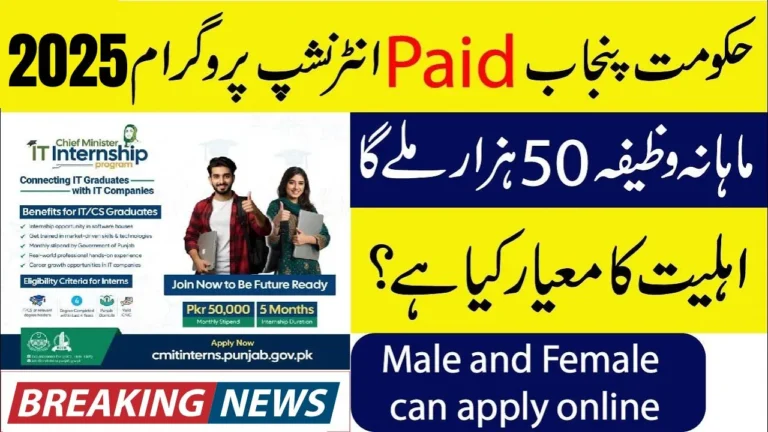 Chief Minister IT Internship Program 2025 – Apply Online & Get Monthly Stipend (Detailed Guide)