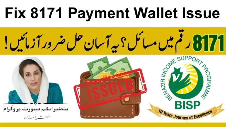 Fix 8171 Payment Wallet Issue