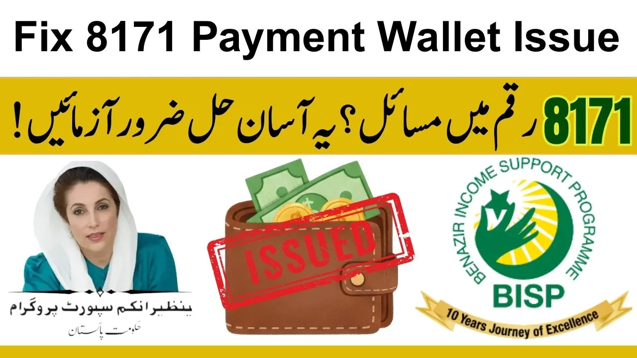 Fix 8171 Payment Wallet Issue