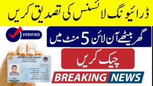 Driving License Verification in Pakistan – CNIC-Based Online Process Explained (2025 Guide)